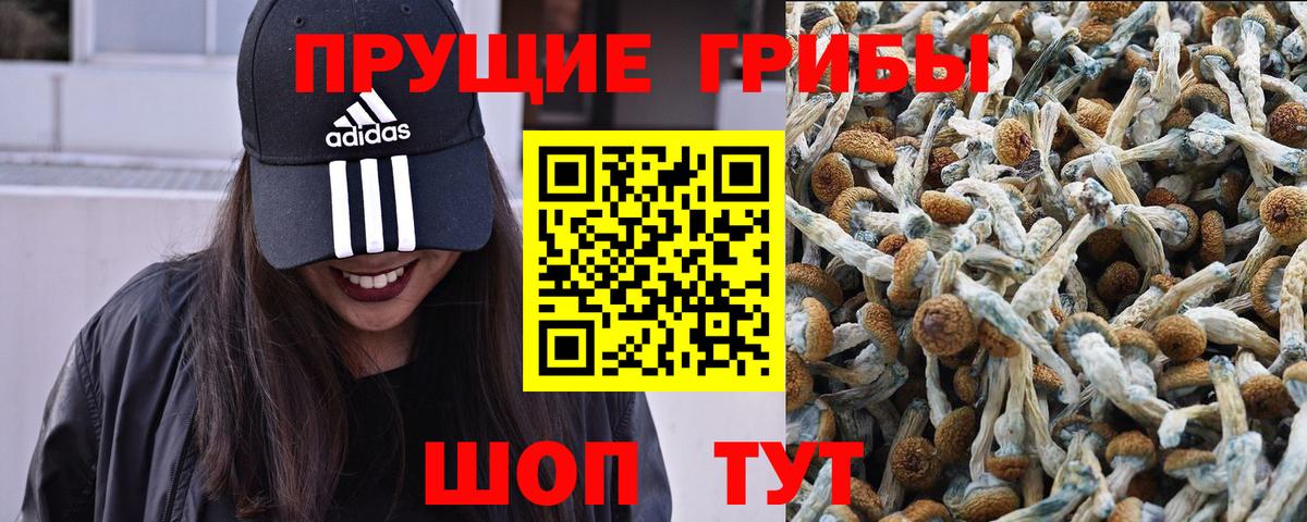 Кандалакша  Псилоцибиновые грибы мицелий  Вход с VPN 